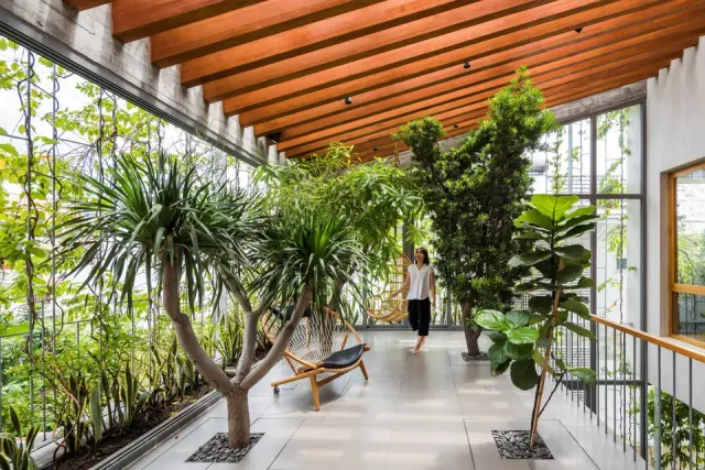 Phong cách Biophilic Design mang đến sự kết nối giữa con người và thiên nhiên